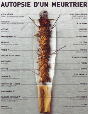 La composition d'une cigarette